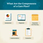 What Are the Components of a Nursing Care Plan