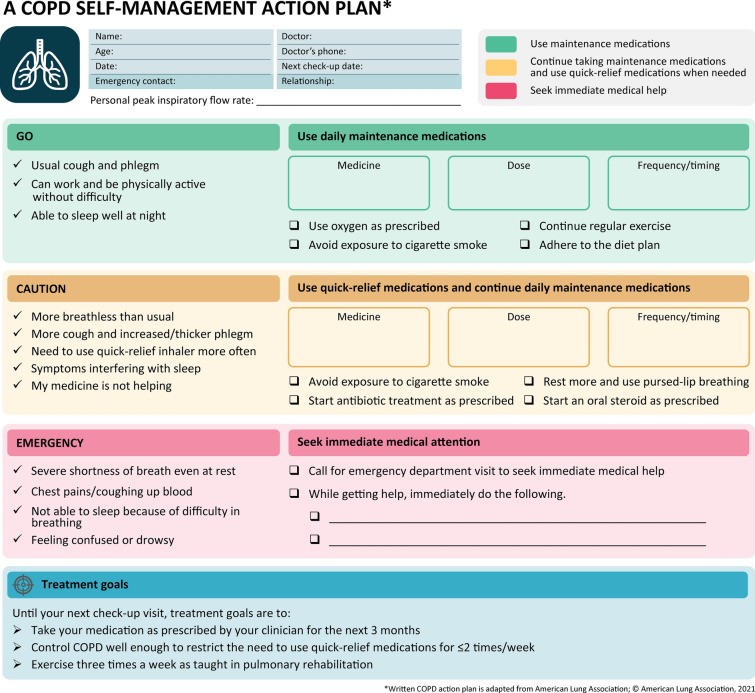 An example of a COPD action plan