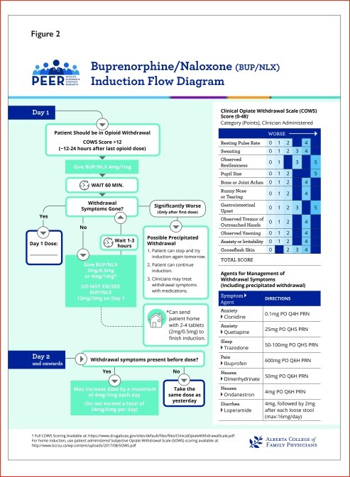 Buprenorphine-Naloxone Induction Pathway