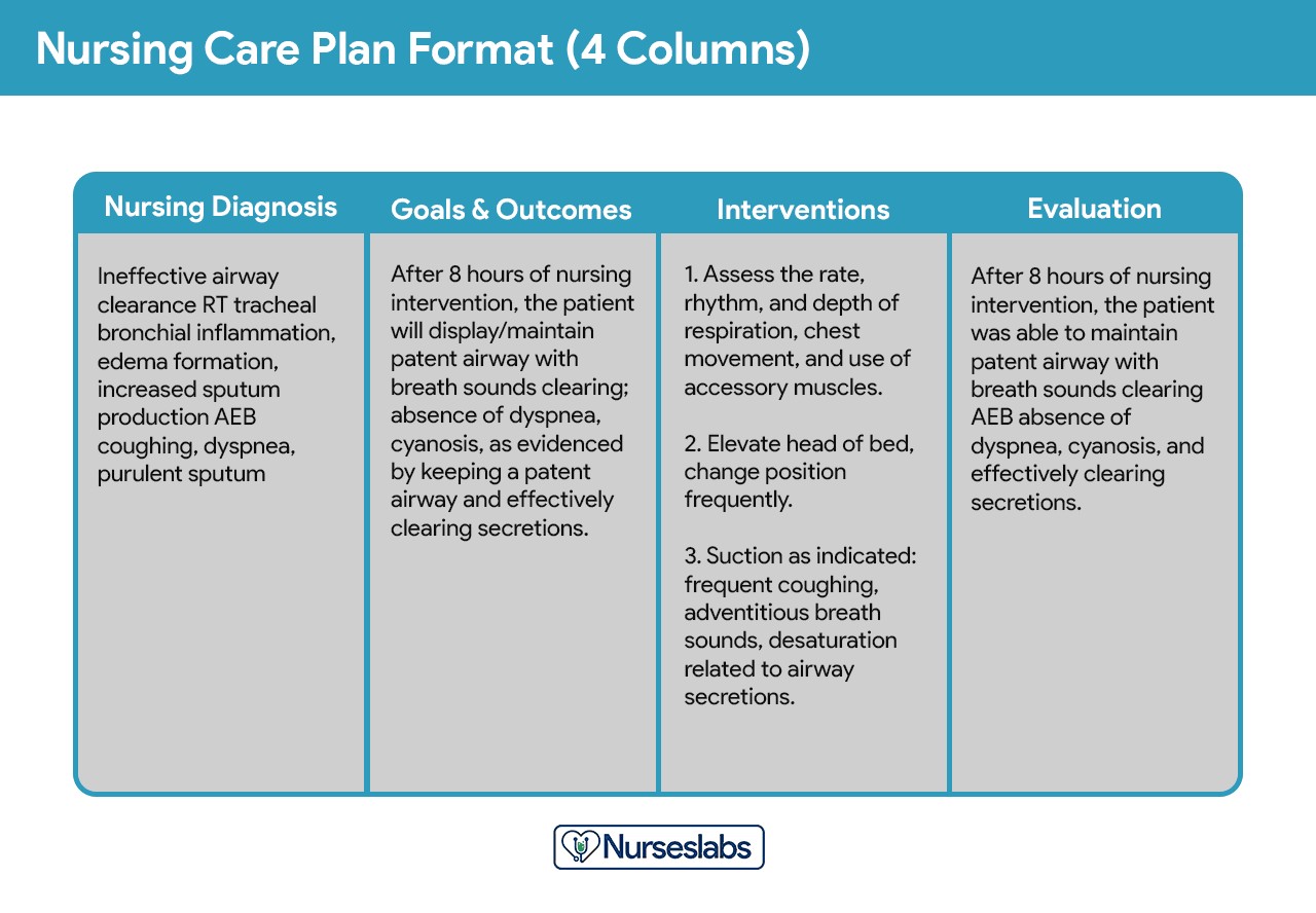 4-Column vehicle Diagnosis Care Plan Format