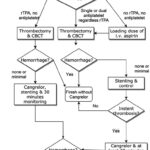 Decision Process for Stent Placement and Cangrelor Use in Stroke Intervention.