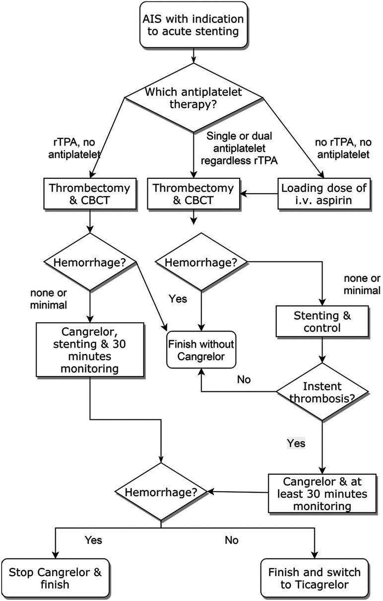 Decision Process for Stent Placement and Cangrelor Use in Stroke Intervention.