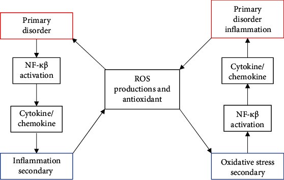 Figure illustrating the vicious cycle between oxidative stress and inflammation in Diabetic Nephropathy