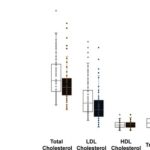 Plasma lipid concentration changes after GP consultations in hypercholesterolemia management