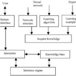 Basic structure of a typed neural network expert system