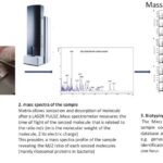 Preparation and identification of a sample by MALDI-TOF MS. MALDI-TOF MS, matrix-assisted desorption ionization–time of flight mass spectrometry.