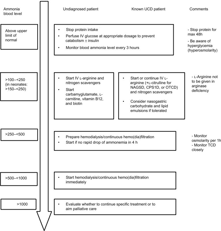 Suggested algorithm for management of hyperammonemia symptomatic patients