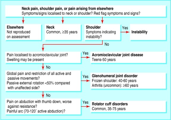 Diagnostic algorithm for shoulder problems in primary care, outlining common conditions and diagnostic steps.