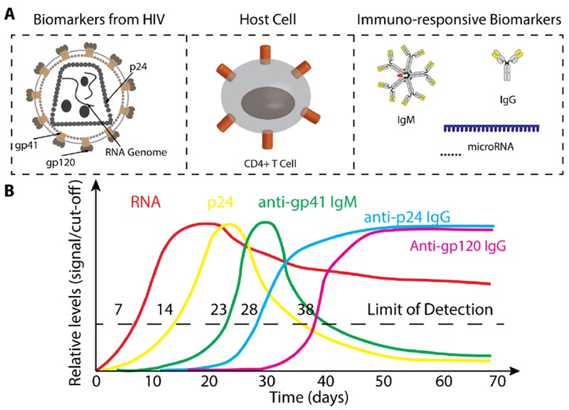 Biomarkers for HIV Infection Diagnosis and Monitoring