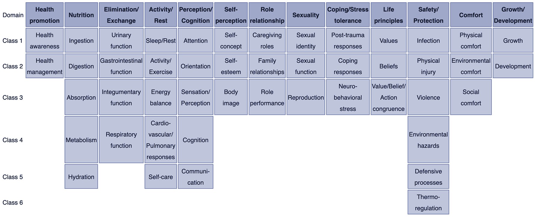 Nursing Diagnosis Taxonomy II