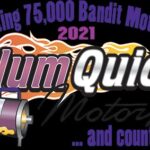 Plum Quick Motors Logo