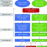 Figure 3. Algorithm reflecting the clinical features of a patient with chronic obstructive pulmonary disease (COPD) presenting with increased respiratory symptoms and suspected acute heart failure.