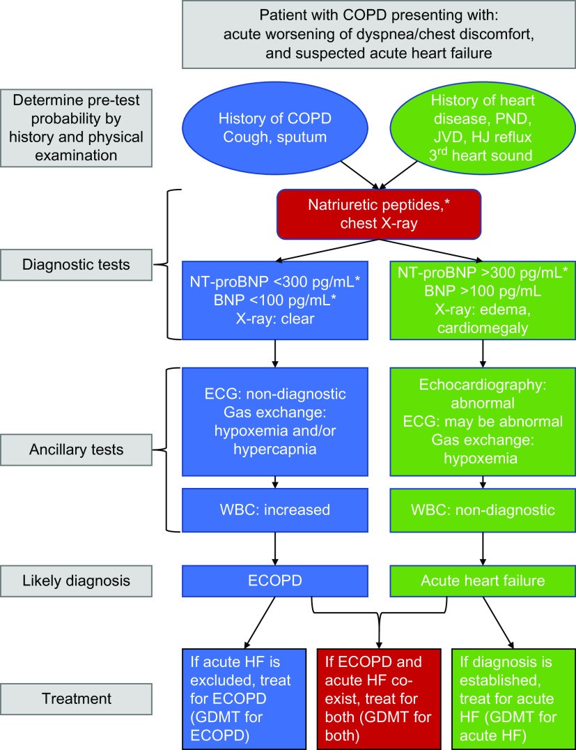 Figure 3. Algorithm reflecting the clinical features of a patient with chronic obstructive pulmonary disease (COPD) presenting with increased respiratory symptoms and suspected acute heart failure.