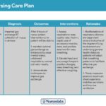 Nurse-patient communication about care plan