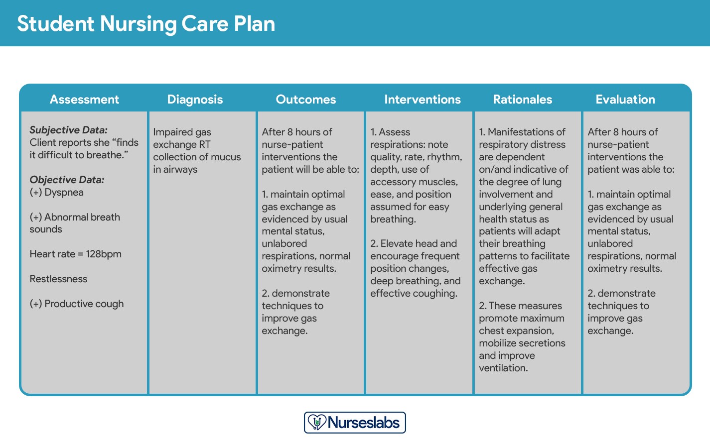 Student Nursing Care Plan Format Example