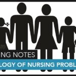 Family Nursing Assessment Areas